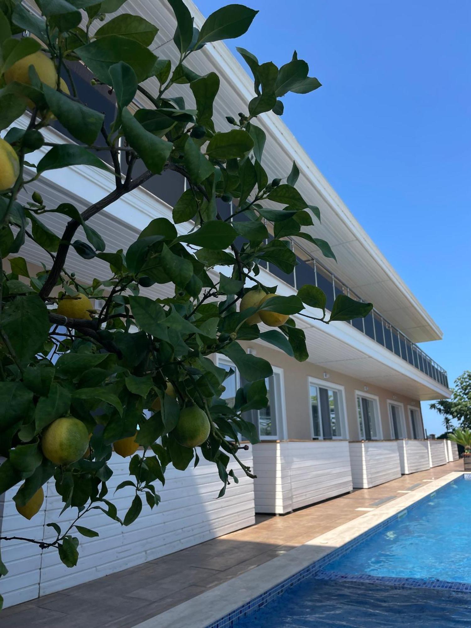 Gradina Holiday Sozopol Exterior foto